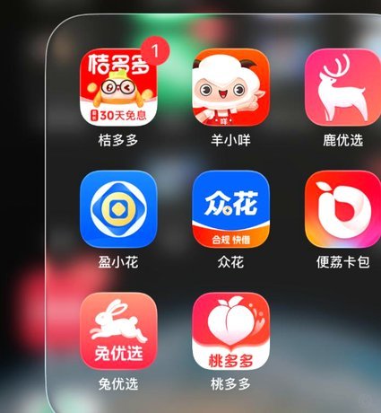羊小咩：精准洞察引领的购物新势力