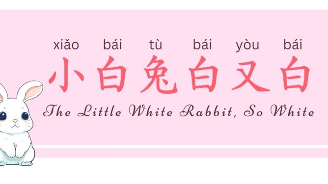 秒白条的算法与信用风险