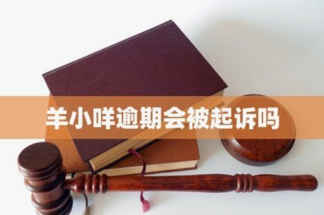 羊小咩商家回收规则解读