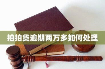 拍拍贷贷款申请步骤