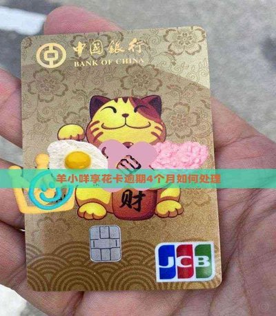 羊小咩享花卡有宽限期吗？解析来了