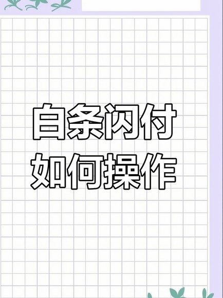 白条如何先用后还