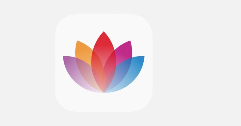 套花呗app