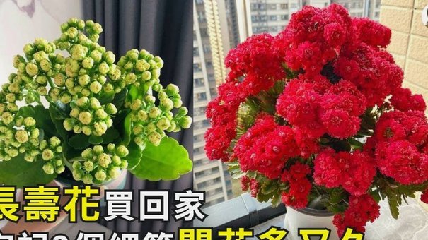 携程拿去花现金套现方法