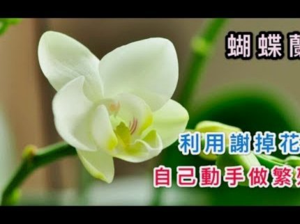 携程拿去花 现金怎么用 套现