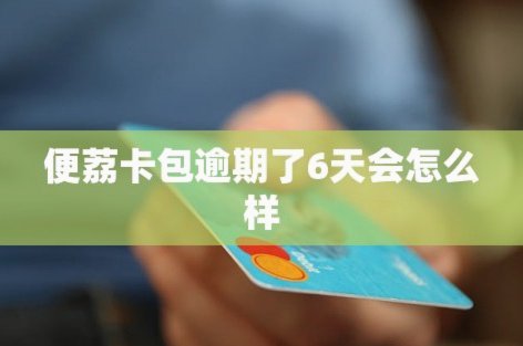 便荔卡包停催窗口还能持续吗？深度分析背后的风险变化