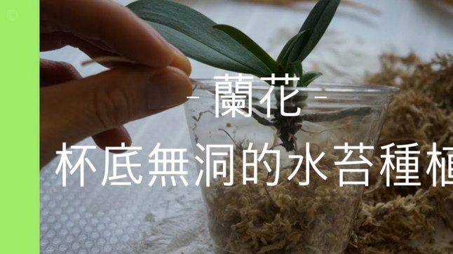 花呗套现风险自查指南：这3个后果你必须知道