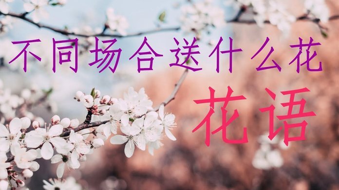 花呗套现2万元的常见途径及其中潜藏的信用风险