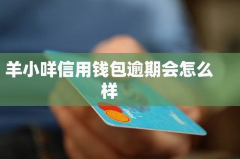 额度提升：羊小咩如何申请？
