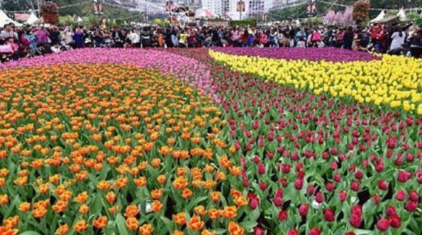 花呗为什么会出现