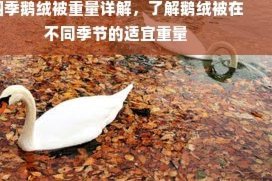 美团月付余额如何提取