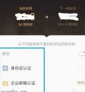 白条里面的加油额度怎么用啊