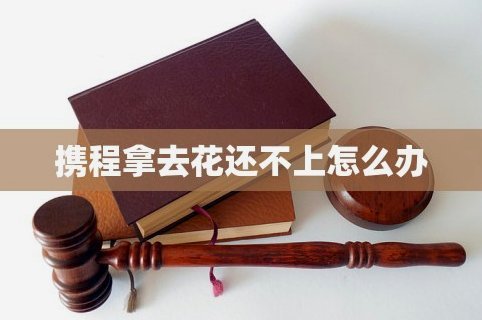 携程上面的拿去花怎么用不了