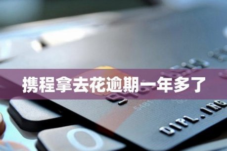 携程上面的拿去花怎么用不了