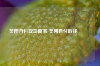 美团月付怎么套出来提现 取消
