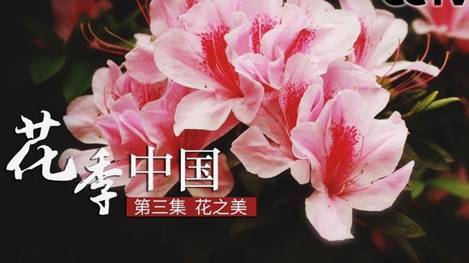 花呗套现：风险与真相