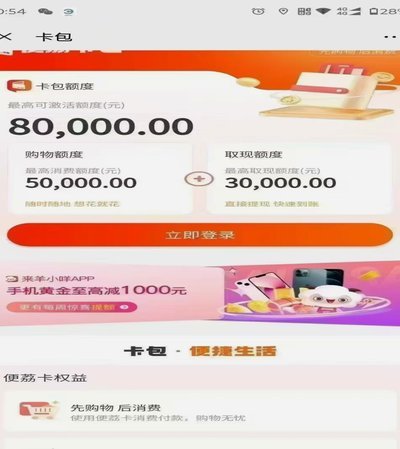 羊小咩钱包怎么不见了