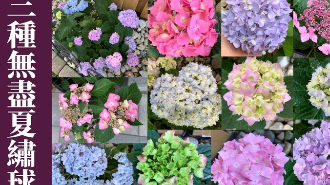 花呗额度提升指南：优化账户与消费习惯