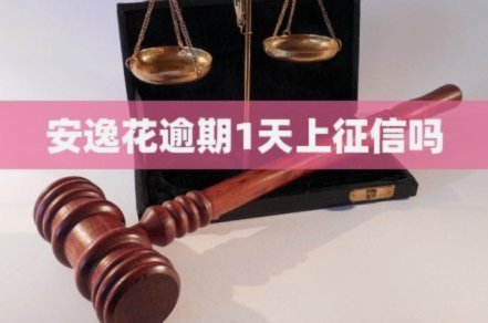 秒用花上征信吗