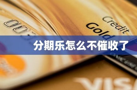 分期乐暂停还款申请详解