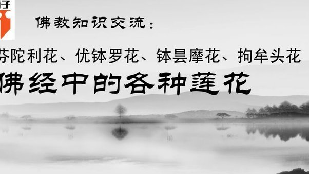 携程拿去花有额度用不了怎么办