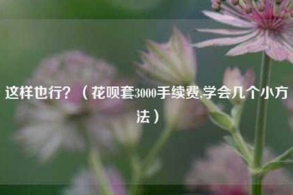 花呗怎样套线