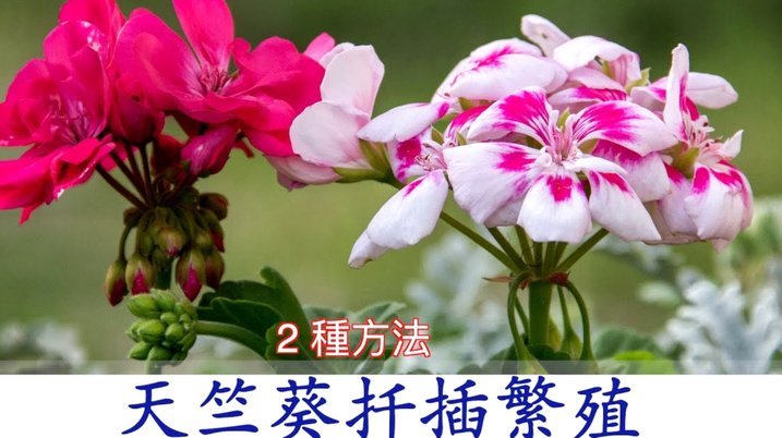 携程“拿去花”深度测评：信用支付服务真的靠谱吗？