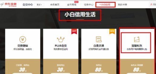 鹿优选临时额度怎么提现