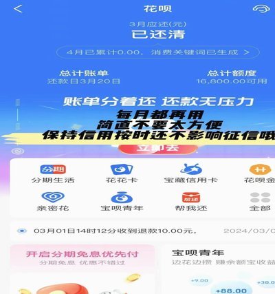 花呗是大平台吗