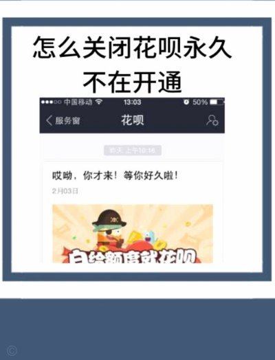 蚂蚁花呗取消了吗