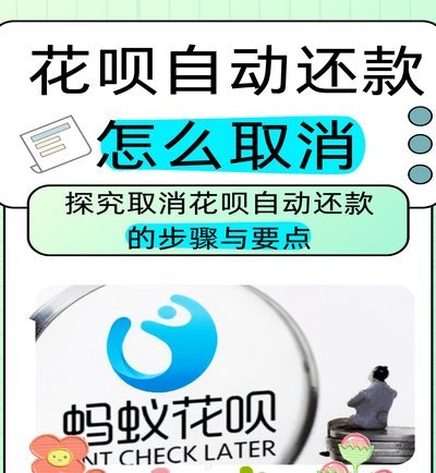 蚂蚁花呗取消了吗