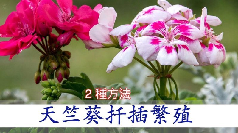携程“拿去花”秘密：为谁而生？