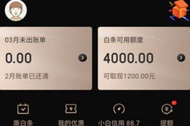 白条取现失败多久可以取现