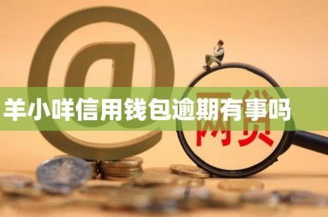 羊小咩信用钱包：如何用数据模型轻松借钱