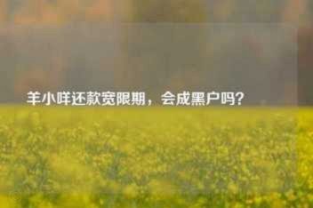 羊小咩账号冻结：平台规则与创作者的博弈