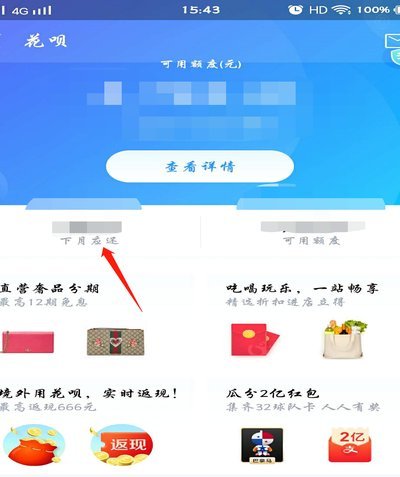花呗秒套平台风险揭秘：还款需谨慎