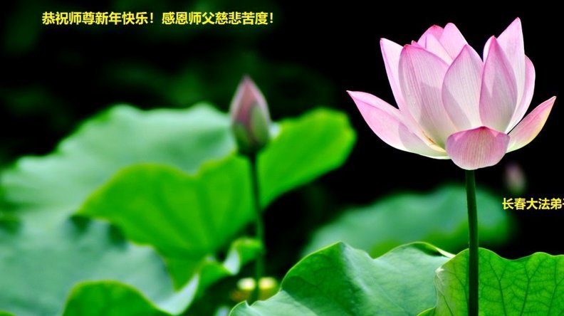 “拿去花”5000点利息真的是分期手续费？