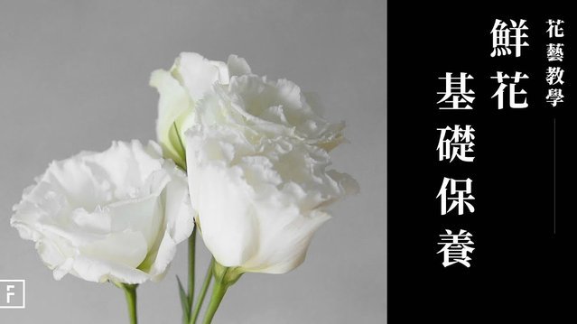 花呗提现找谁