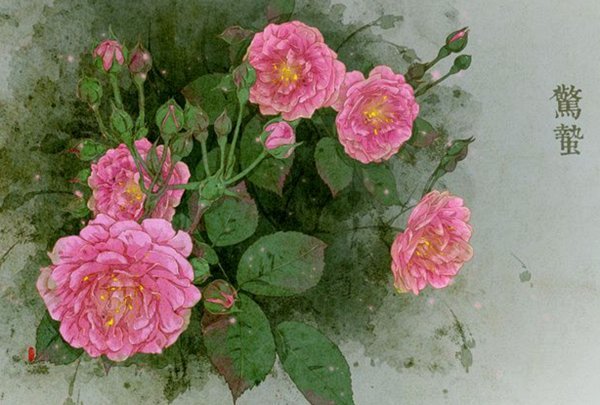 花呗提现找谁