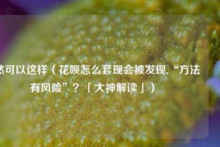 美团可用额度如何高效利用？