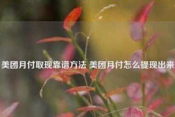 美团可用额度怎么套现啊