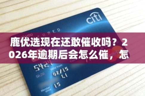 鹿优选会员费退费攻略