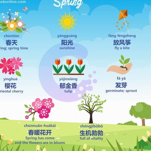 携程拿去花取现：如何关闭及可能影响