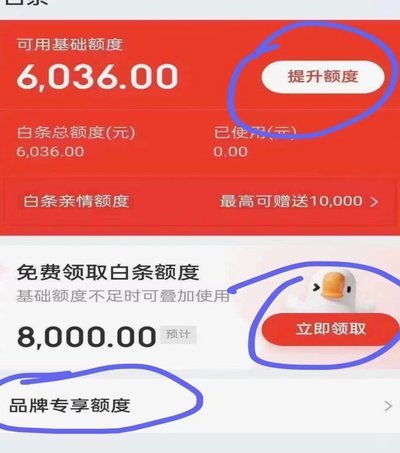 如何利用白条额度提升商家销售额