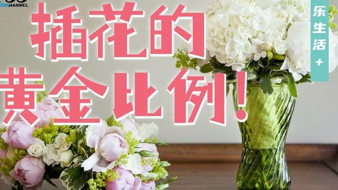 套现花呗：现象与成因解析
