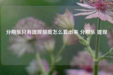 分期乐额度如何安全提现