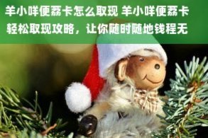 便荔卡取现